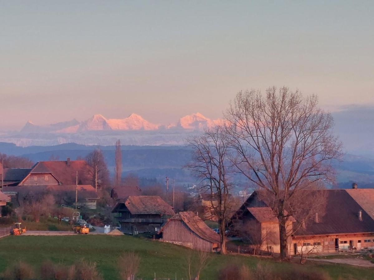 Alpenblick Ferenberg Bern Hotell Stettlen Eksteriør bilde