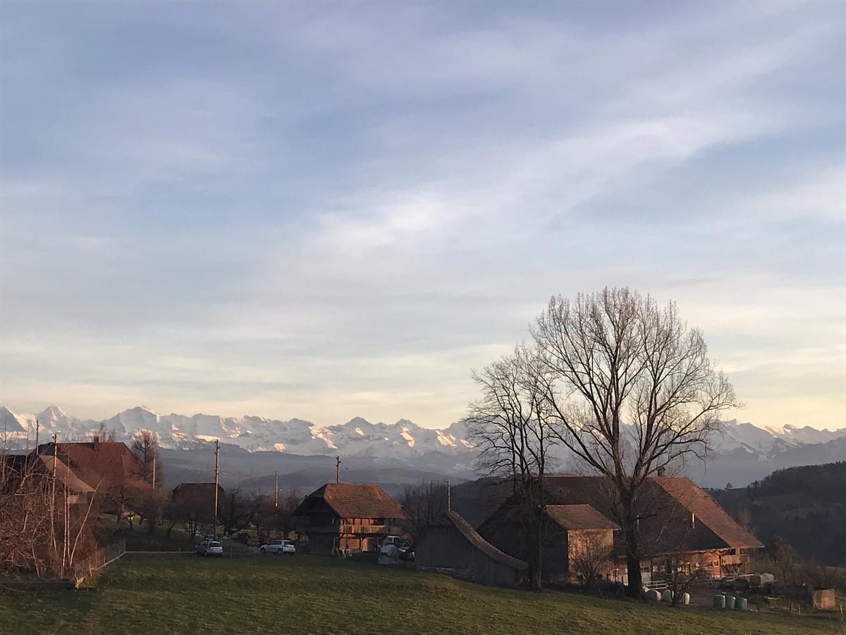 Alpenblick Ferenberg Bern Hotell Stettlen Eksteriør bilde